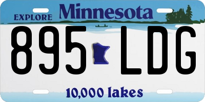 MN license plate 895LDG
