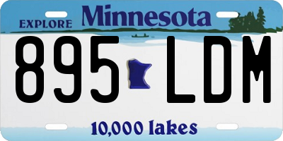 MN license plate 895LDM
