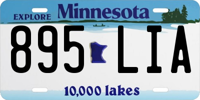 MN license plate 895LIA