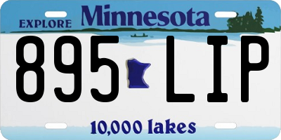 MN license plate 895LIP