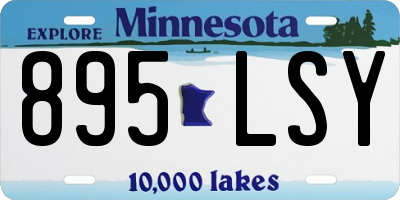 MN license plate 895LSY