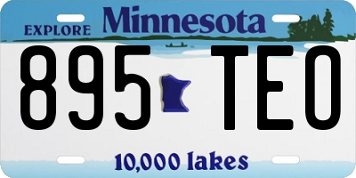 MN license plate 895TEO