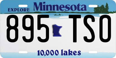 MN license plate 895TSO