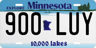 MN license plate 900LUY