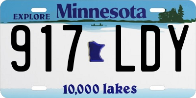 MN license plate 917LDY