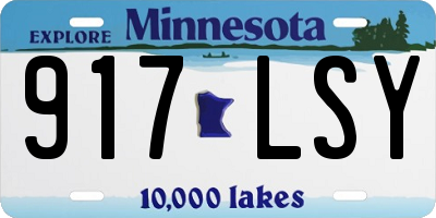 MN license plate 917LSY