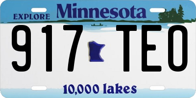 MN license plate 917TEO