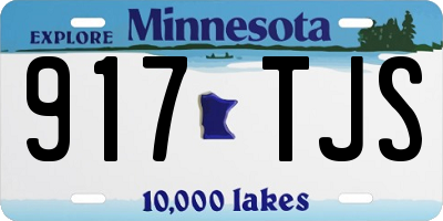 MN license plate 917TJS