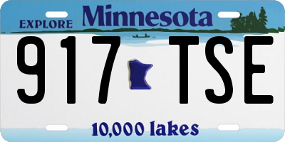 MN license plate 917TSE