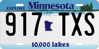 MN license plate 917TXS
