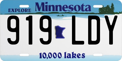 MN license plate 919LDY
