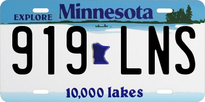 MN license plate 919LNS