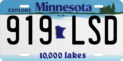 MN license plate 919LSD