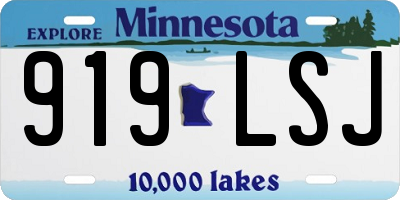 MN license plate 919LSJ