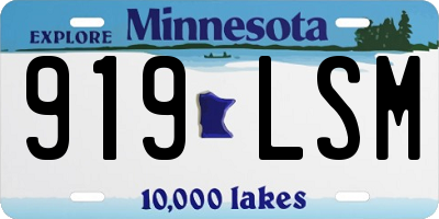 MN license plate 919LSM