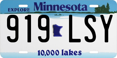 MN license plate 919LSY