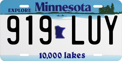 MN license plate 919LUY