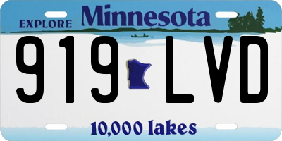 MN license plate 919LVD