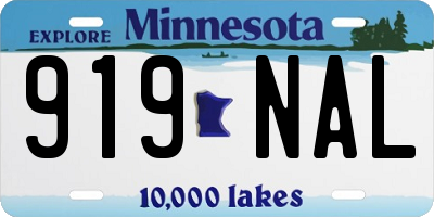 MN license plate 919NAL