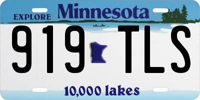 MN license plate 919TLS