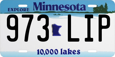 MN license plate 973LIP