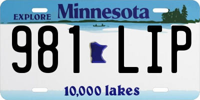 MN license plate 981LIP
