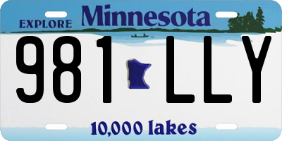 MN license plate 981LLY