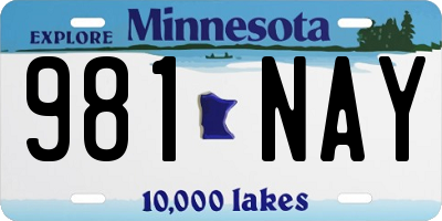 MN license plate 981NAY