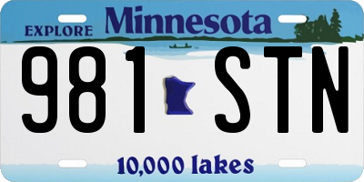 MN license plate 981STN