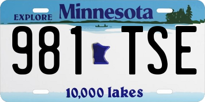 MN license plate 981TSE