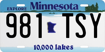 MN license plate 981TSY