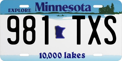 MN license plate 981TXS