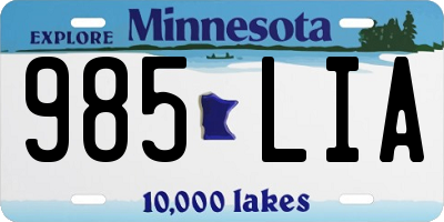 MN license plate 985LIA