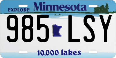 MN license plate 985LSY