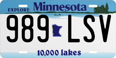 MN license plate 989LSV