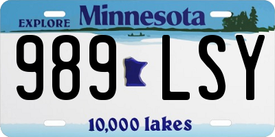 MN license plate 989LSY