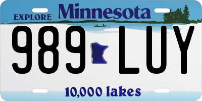 MN license plate 989LUY