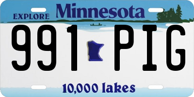 MN license plate 991PIG