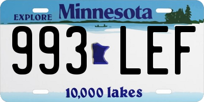 MN license plate 993LEF