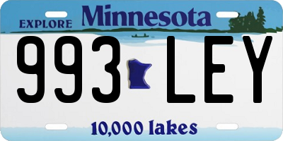 MN license plate 993LEY