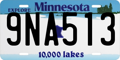 MN license plate 9NA513