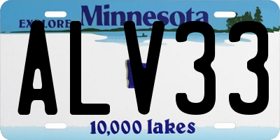 MN license plate ALV33