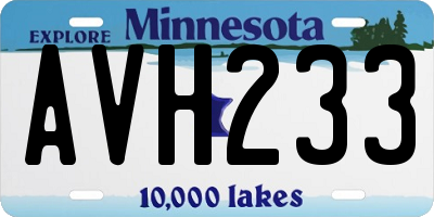 MN license plate AVH233