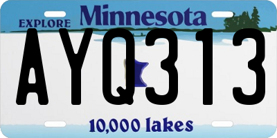 MN license plate AYQ313