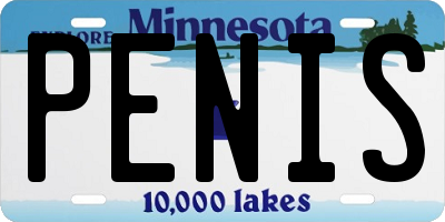 MN license plate PENIS