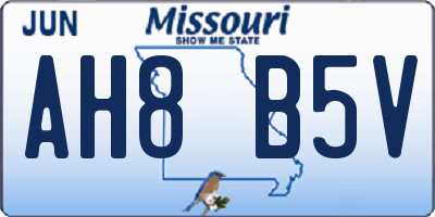MO license plate AH8B5V