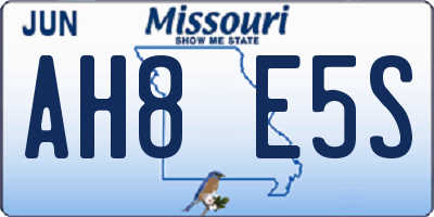 MO license plate AH8E5S