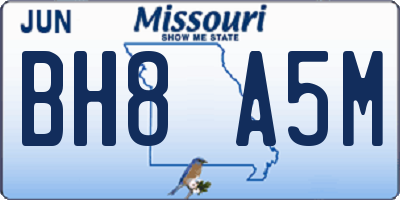 MO license plate BH8A5M