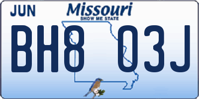 MO license plate BH8O3J