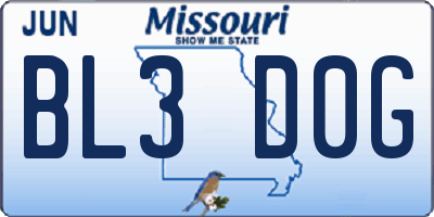 MO license plate BL3D0G